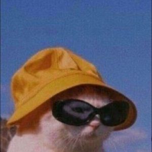 Meet your Posher, Addison